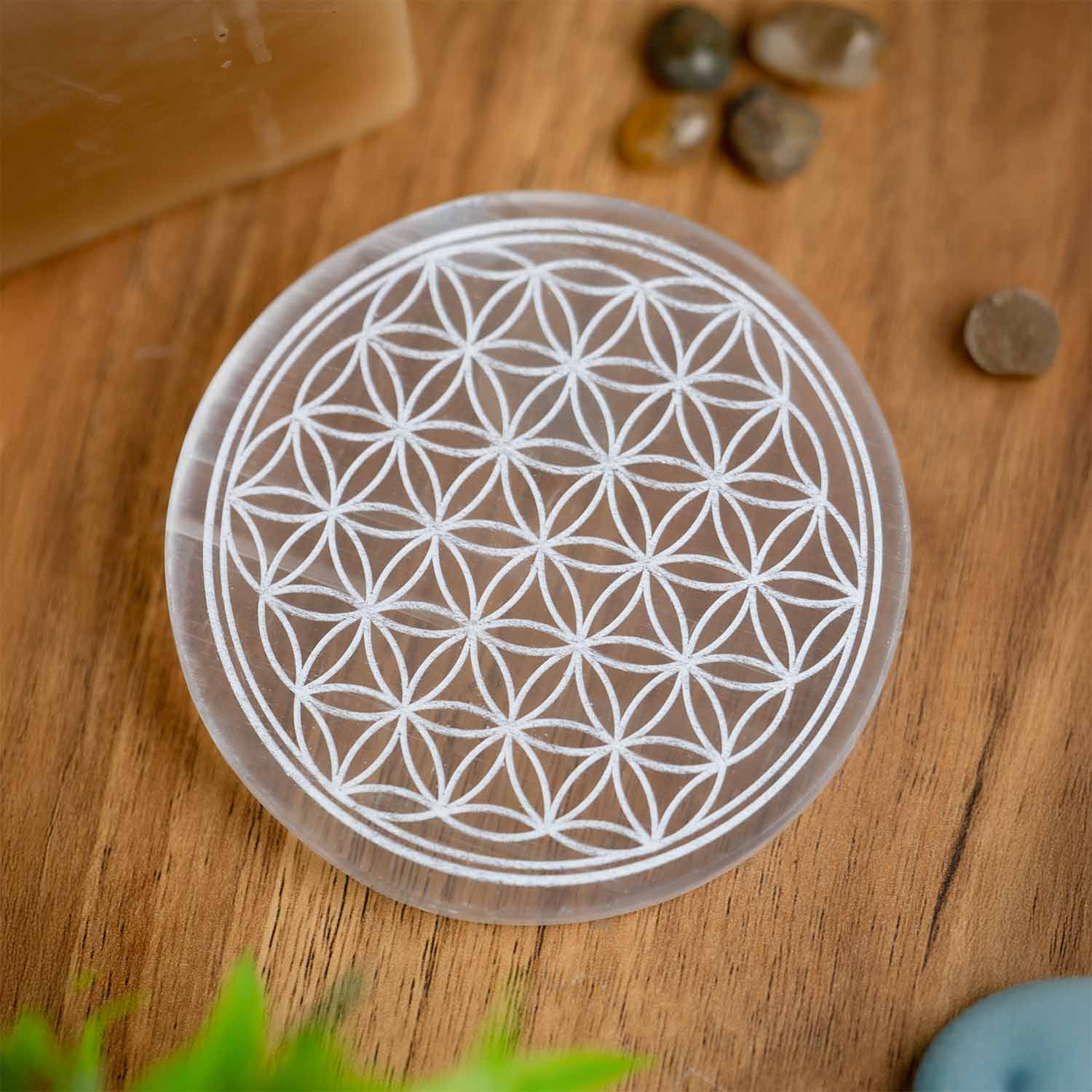 Floral Selenite Charging Plate With Bracelet